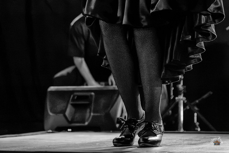 flamenco (110)